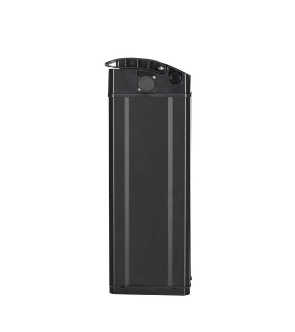 T1 Removable Lithium Battery 48V20Ah