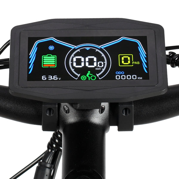 Philodo Forester Electric Bike Color Display