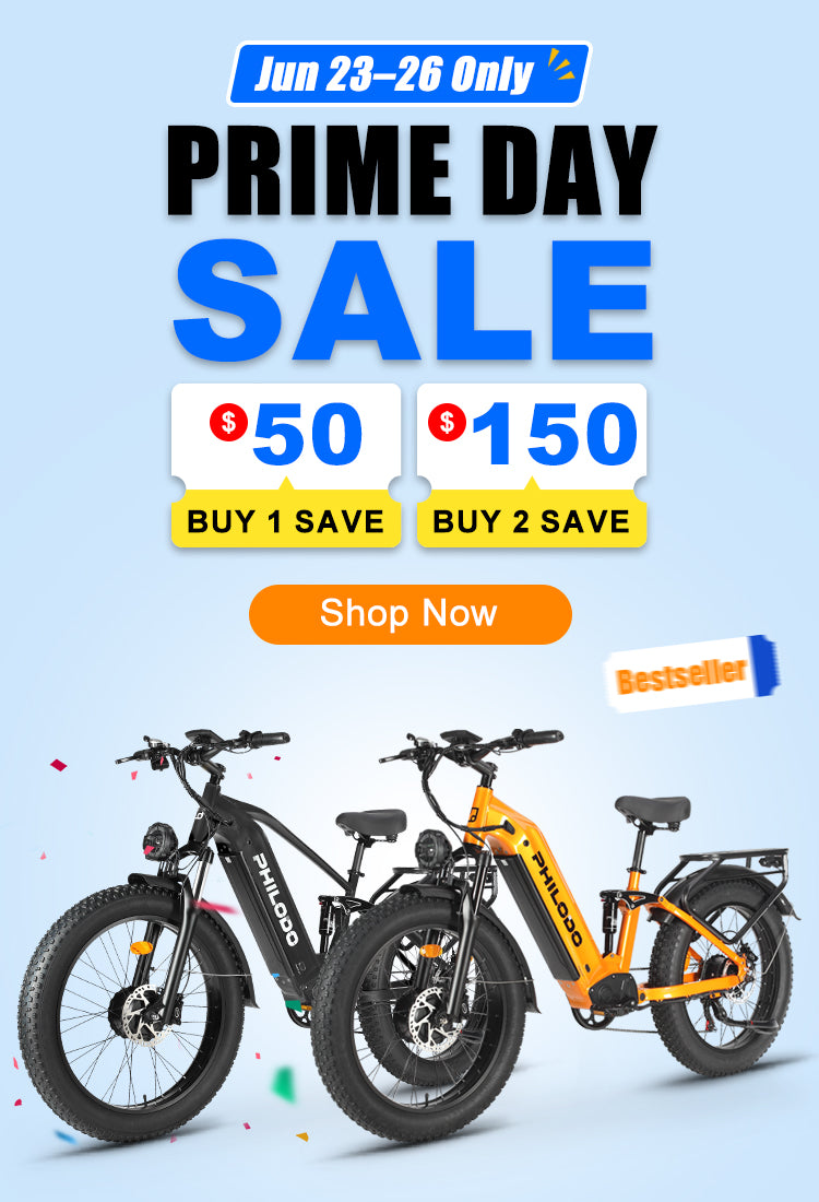 Powerful Dual Motor eBike for Adults - PHILODO – PHILODO BIKES