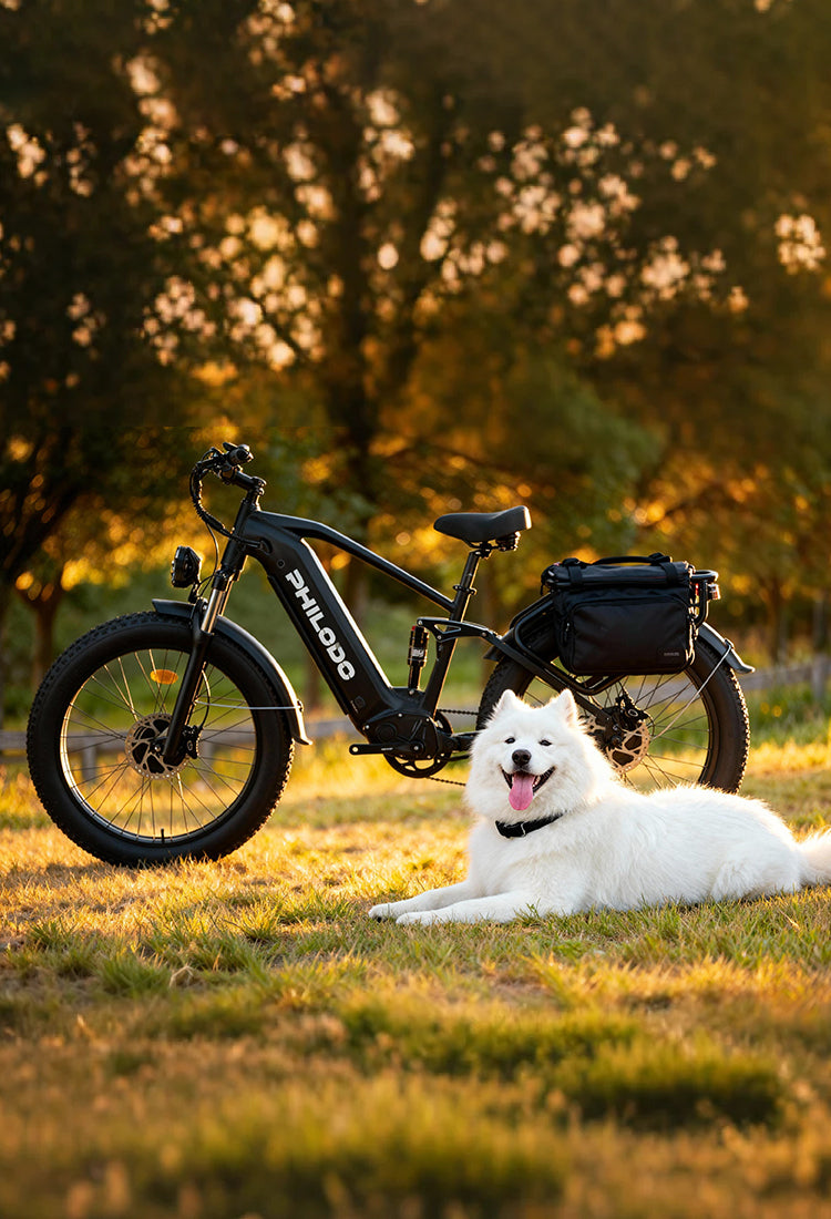 電動自転車　PHILODO The Best Dual Motor Ebike USA | Philodo Bikes for Sale